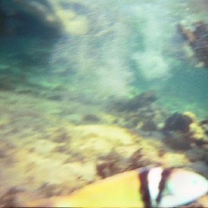 /Albums/17/Pr00001063951