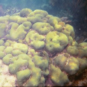 /Albums/17/Pr00001063956