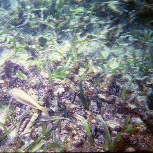 /Albums/17/Pr00001063958