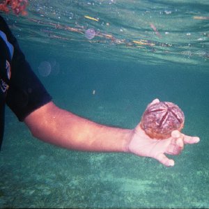 /Albums/17/Pr00001063959