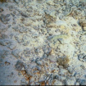 /Albums/17/Pr00001063960