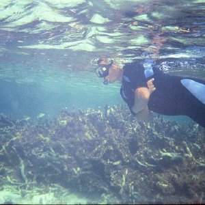 /Albums/17/Pr00001063961