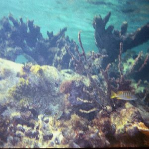 /Albums/17/Pr00001063962