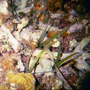 /Albums/17/Pr00001063963