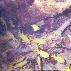 /Albums/17/Pr00001063964