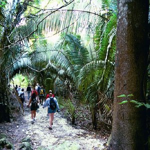 /Albums/17/Pr00001063966