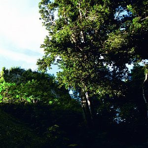 /Albums/17/Pr00001063969