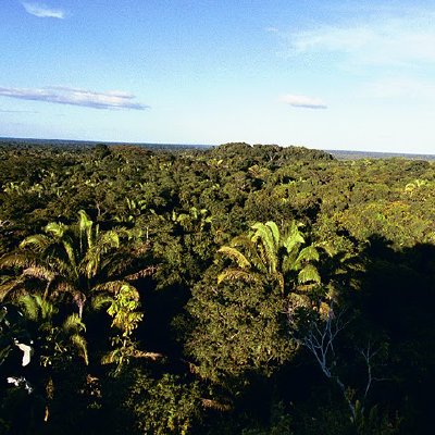 Jason's Earlier Trips - Album 3