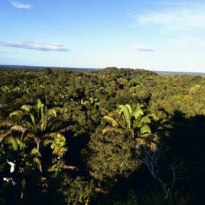 /Albums/17/Pr00001063974