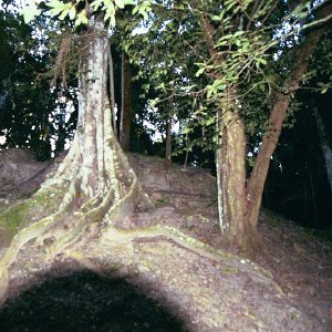 /Albums/17/Pr00001063984