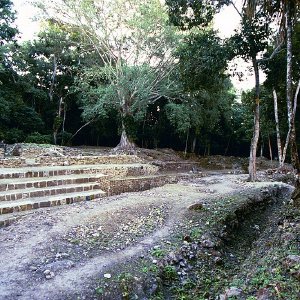 /Albums/17/Pr00001063988