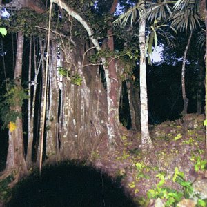 /Albums/17/Pr00001063994