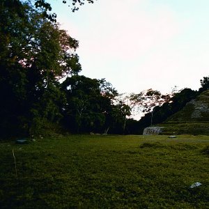 /Albums/17/Pr00001063995