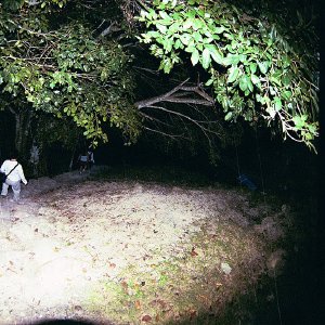 /Albums/17/Pr00001063999