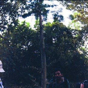 /Albums/18/Pr00001063881