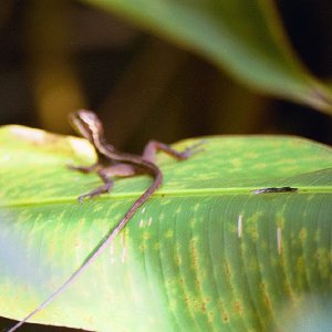 /Albums/18/Pr03921052205