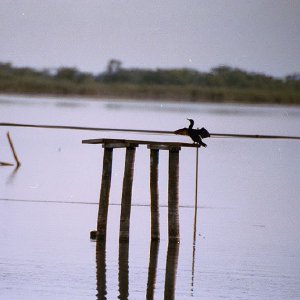 /Albums/18/Pr03921052211