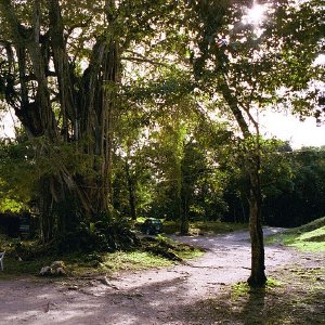 /Albums/18/Pr03921052213