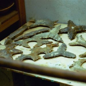 /Albums/18/Pr03921052217