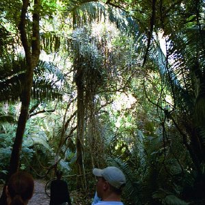 /Albums/18/Pr03921052222