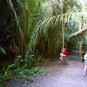 /Albums/18/Pr03921052225