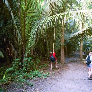 /Albums/18/Pr03921052226