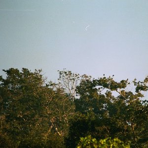 /Albums/18/Pr03921052237