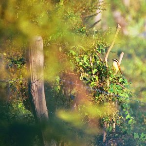 /Albums/18/Pr03921052238