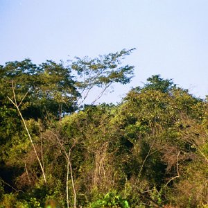 /Albums/18/Pr03921052240