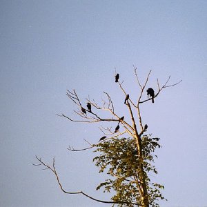 /Albums/18/Pr03921052242