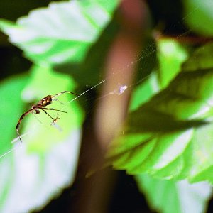 /Albums/18/Pr03921052248