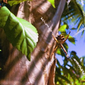 /Albums/18/Pr03921052251