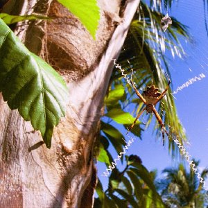 /Albums/18/Pr03921052253