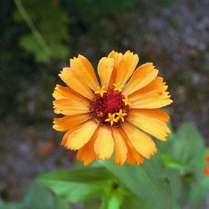 /Albums/18/Pr03921052256