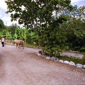 /Albums/18/Pr03921052258