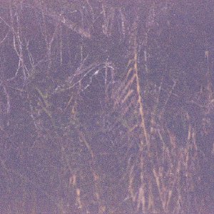 /Albums/18/Pr03921052265