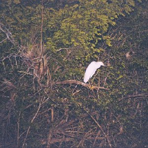 /Albums/18/Pr03921052266