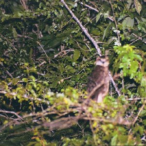 /Albums/18/Pr03921052268