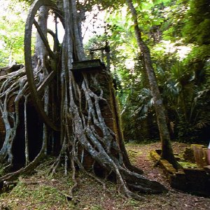 /Albums/18/Pr03921052273