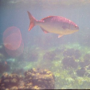 /Albums/19/Pr000010638101