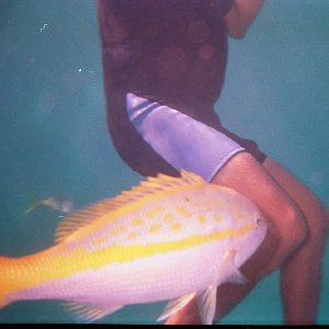 /Albums/19/Pr00001063854