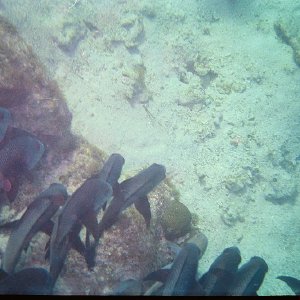 /Albums/19/Pr00001063855