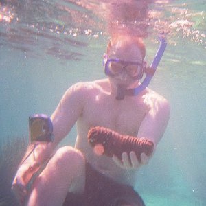 /Albums/19/Pr00001063856