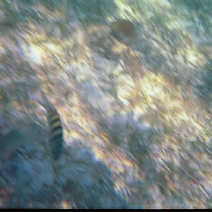 /Albums/19/Pr00001063858