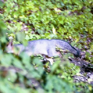 /Albums/19/Pr00001063867