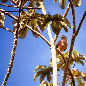 /Albums/19/Pr00001063869