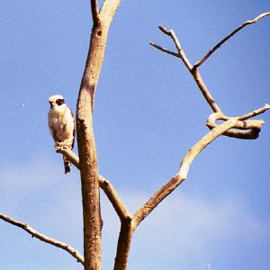 /Albums/19/Pr00001063872