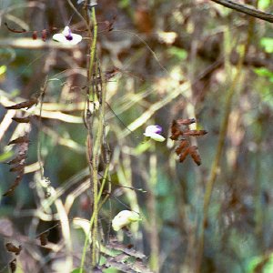 /Albums/19/Pr00001063875