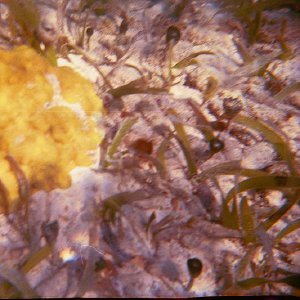 /Albums/19/Pr00001063898