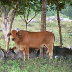 /Albums/19/Pr039210522100